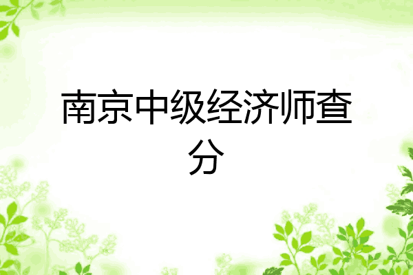 南京中级经济师查分