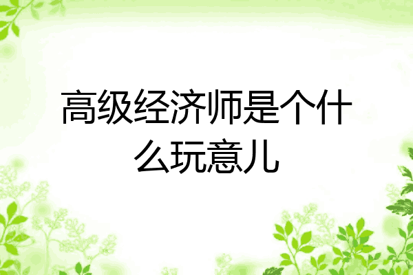 高级经济师是个什么玩意儿