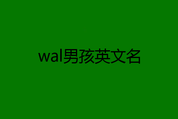 wal男孩英文名