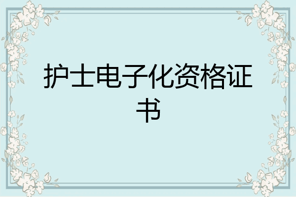 护士电子化资格证书