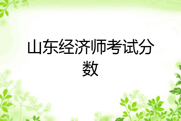 山东经济师考试分数