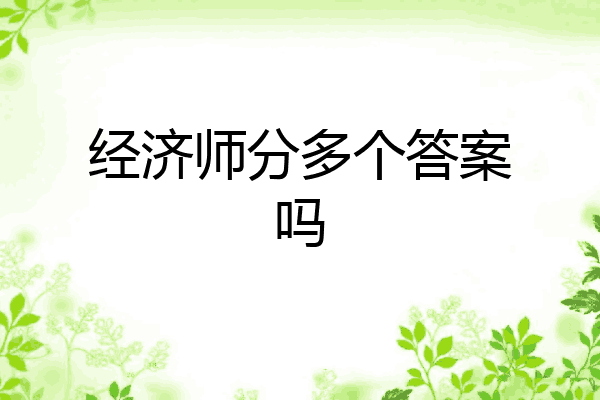 经济师分多个答案吗