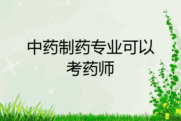 中药制药专业可以考药师