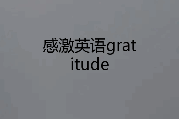 感激英语gratitude