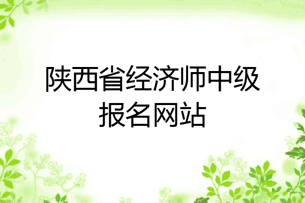 陕西省经济师中级报名网站