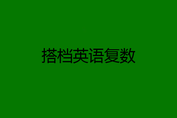 搭档英语复数
