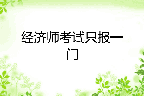 经济师考试只报一门