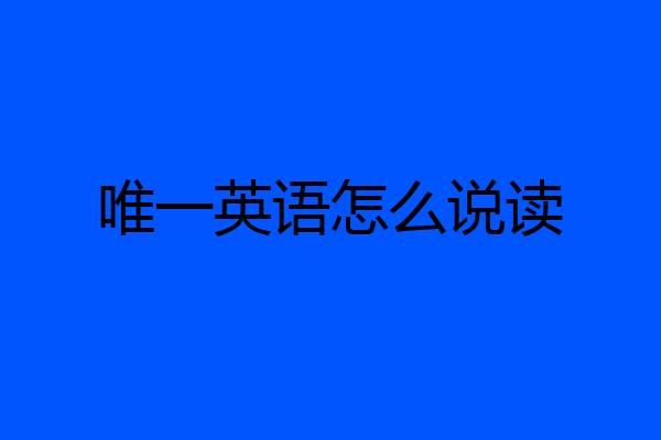 唯一英语怎么说读