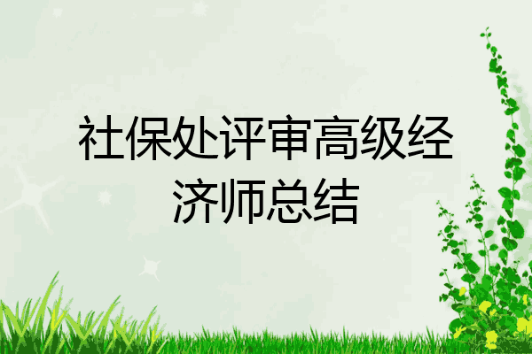 社保处评审高级经济师总结