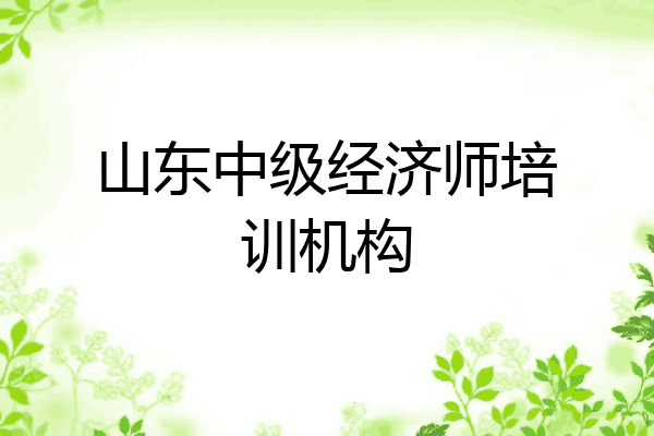 山东中级经济师培训机构