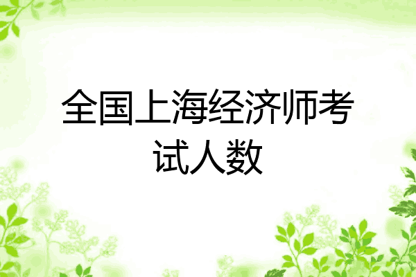 全国上海经济师考试人数