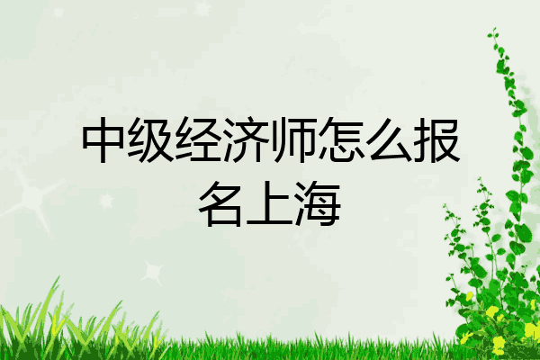 中级经济师怎么报名上海