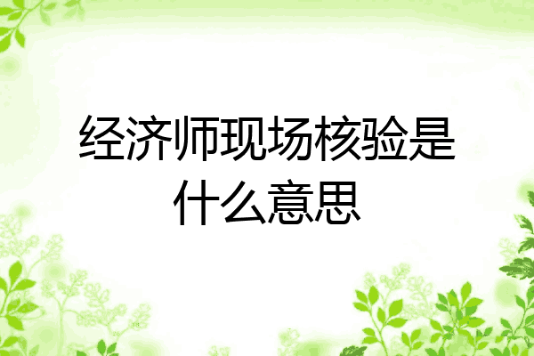 经济师现场核验是什么意思