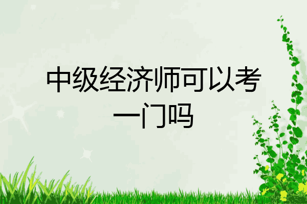 中级经济师可以考一门吗