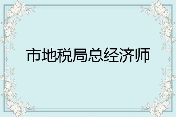 市地税局总经济师