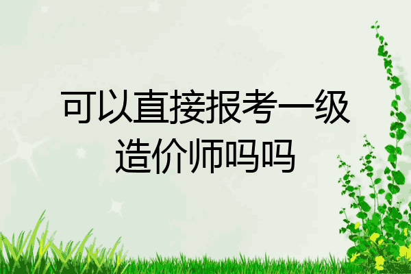 可以直接报考一级造价师吗吗