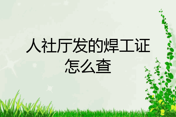 人社厅发的焊工证怎么查