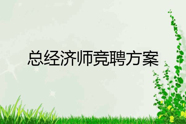 总经济师竞聘方案