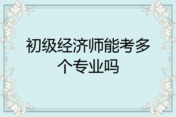 初级经济师能考多个专业吗