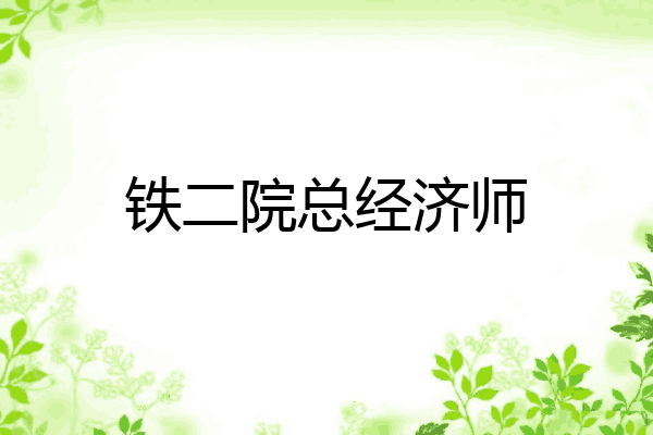 铁二院总经济师