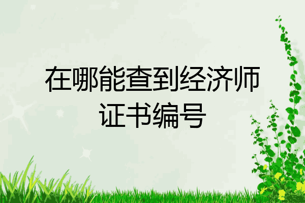 在哪能查到经济师证书编号