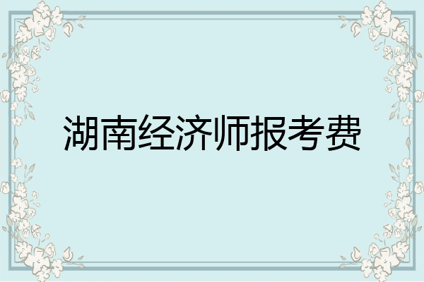 湖南经济师报考费