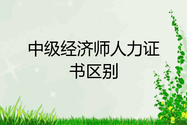 中级经济师人力证书区别
