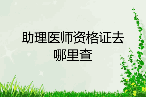 助理医师资格证去哪里查