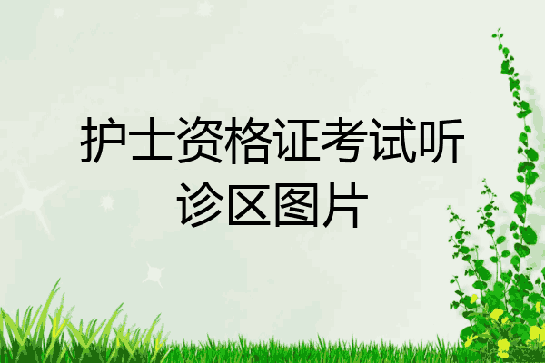 护士资格证考试听诊区图片