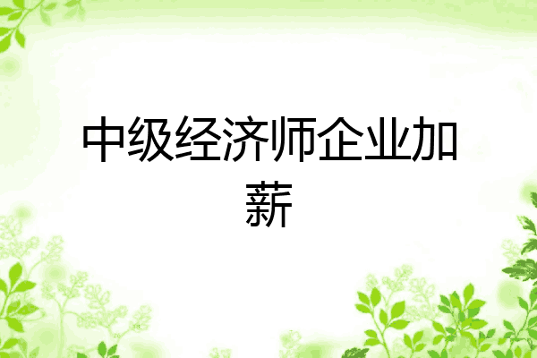 中级经济师企业加薪