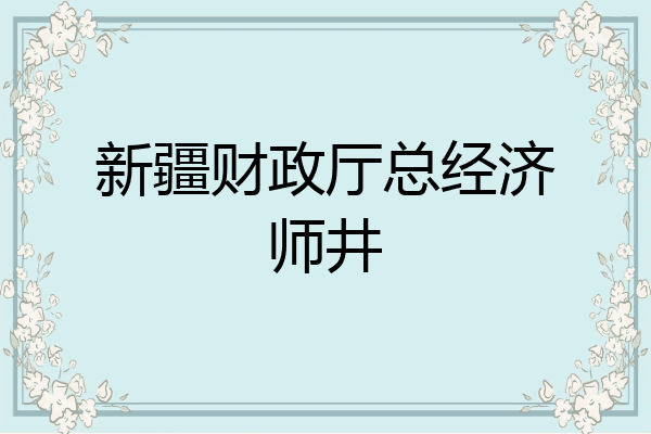 新疆财政厅总经济师井