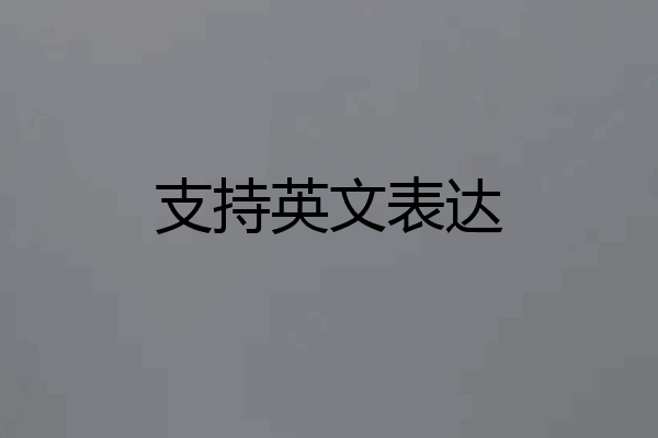 支持英文表达