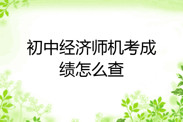 初中经济师机考成绩怎么查