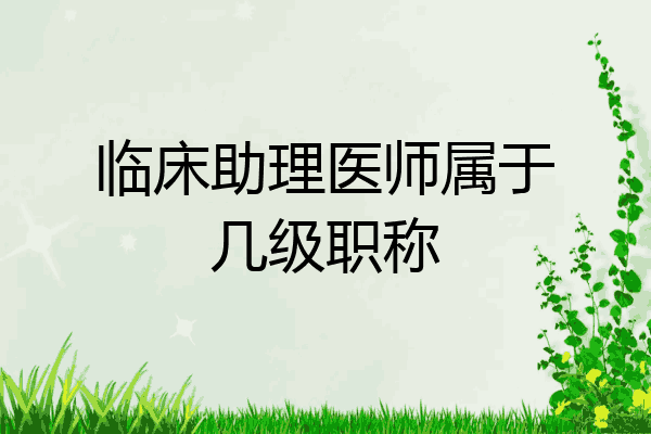 临床助理医师属于几级职称
