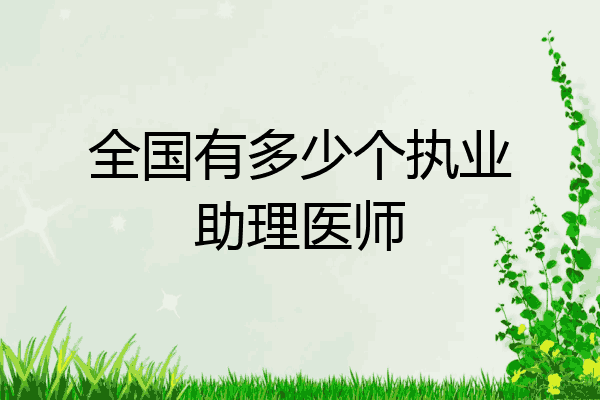 全国有多少个执业助理医师