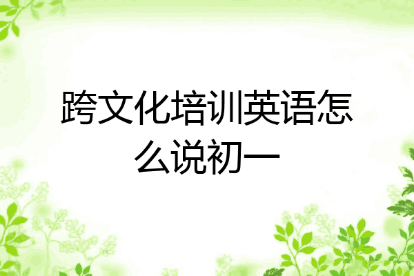 跨文化培训英语怎么说初一