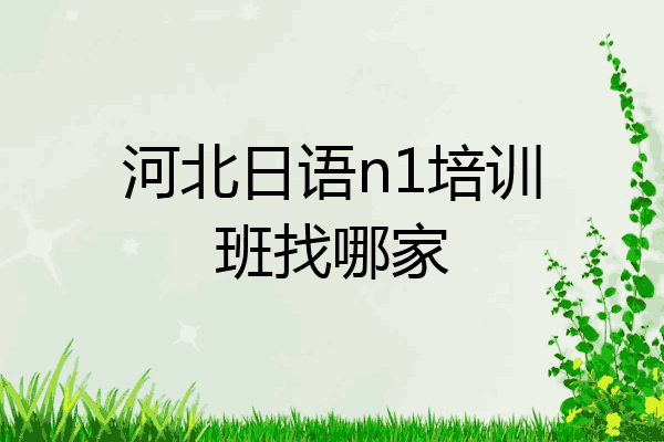 河北日语n1培训班找哪家