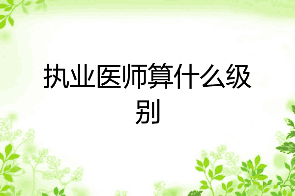 执业医师算什么级别