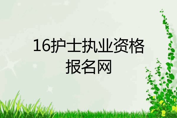 16护士执业资格报名网