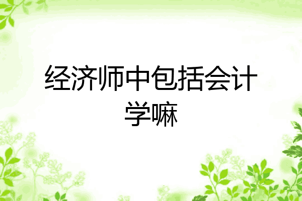 经济师中包括会计学嘛