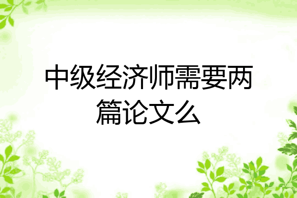 中级经济师需要两篇论文么