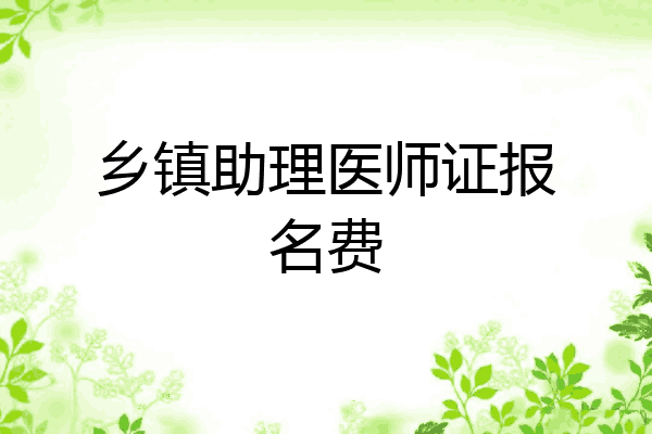 乡镇助理医师证报名费