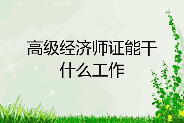 高级经济师证能干什么工作