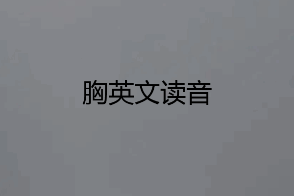 胸英文读音