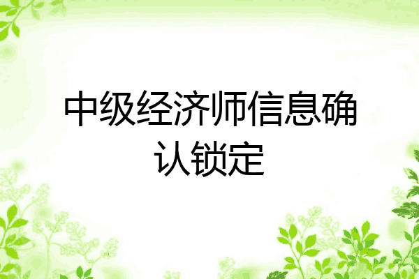 中级经济师信息确认锁定