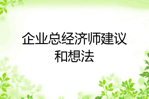 企业总经济师建议和想法