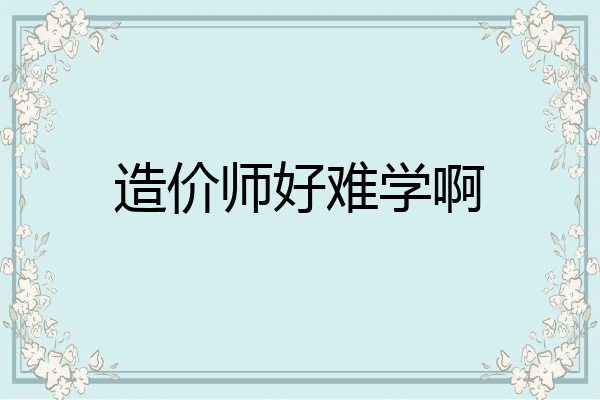 造价师好难学啊