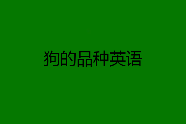 狗的品种英语