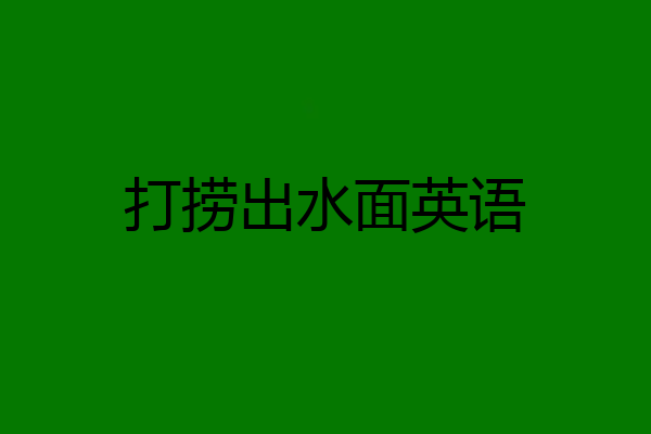 打捞出水面英语