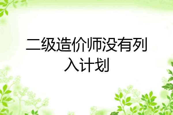 二级造价师没有列入计划